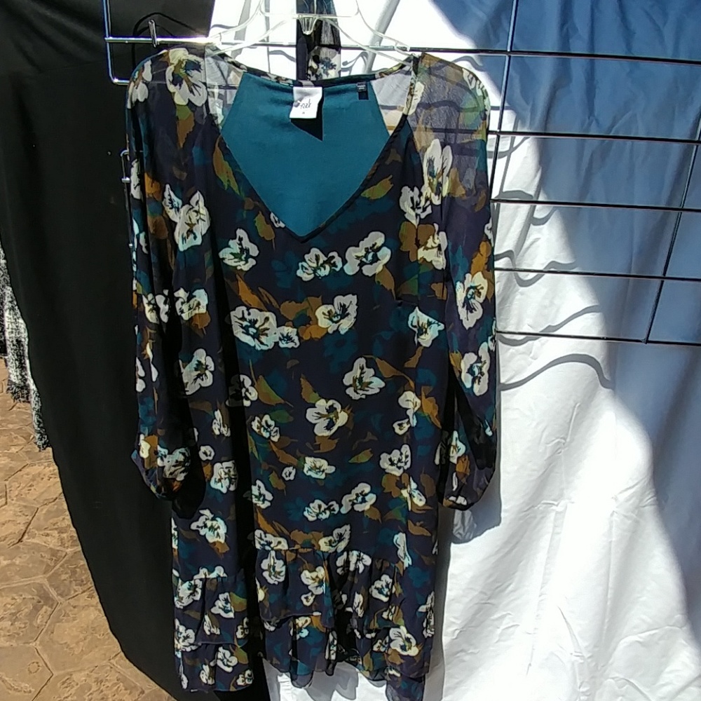 Cabi dress